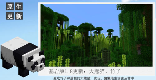 �ҵ��������è