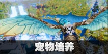 �ҵ���Դ��������ָ�� ������ô��ǿ 