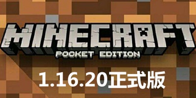 �ҵ����������ʽ��1.16.20����  ������������