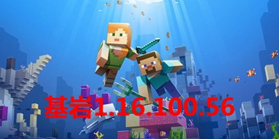 �ҵ��������1.16.100.56����