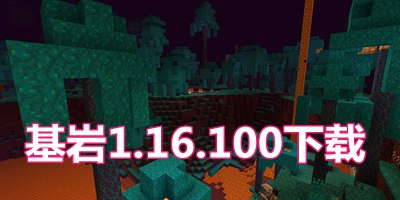 �ҵ����������ʽ��1.16.100 ����