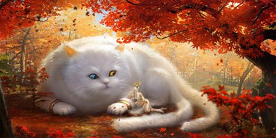 ����ɽ���F�F������ô�� �����ޖF�F��ô���