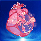 �����Ű�����