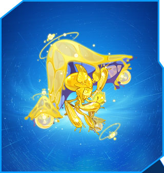 �����Ű�����